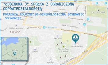 PORADNIA POŁOŻNICZO-GINEKOLOGICZNA_SOSNOWIEC - "ŁUBINOWA 3" SPÓŁKA Z OGRANICZONĄ ODPOWIEDZIALNOŚCIĄ - UL. BOLESŁAWA PRUSA 253A,  SOSNOWIEC