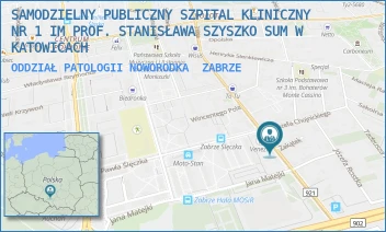 ODDZIAŁ PATOLOGII NOWORODKA - SAMODZIELNY PUBLICZNY SZPITAL KLINICZNY NR 1 IM PROF. STANISŁAWA SZYSZKO SUM W KATOWICACH - UL. 3 MAJA 13-15,  ZABRZE