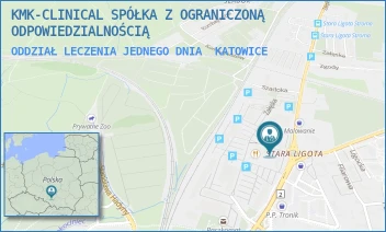 ODDZIAŁ LECZENIA JEDNEGO DNIA - KMK-CLINICAL SPÓŁKA Z OGRANICZONĄ ODPOWIEDZIALNOŚCIĄ - UL. ZAŁĘSKA 9,  KATOWICE