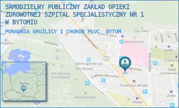 PORADNIA GRUŹLICY I CHORÓB PŁUC - SAMODZIELNY PUBLICZNY ZAKŁAD OPIEKI ZDROWOTNEJ SZPITAL SPECJALISTYCZNY NR 1 W BYTOMIU - UL. ALEJA LEGIONÓW 49,  BYTOM