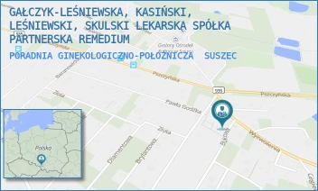 PORADNIA GINEKOLOGICZNO-POŁOŻNICZA - GAŁCZYK-LEŚNIEWSKA, KASIŃSKI, LEŚNIEWSKI, SKULSKI LEKARSKA SPÓŁKA PARTNERSKA REMEDIUM - UL. WYZWOLENIA 2,  SUSZEC