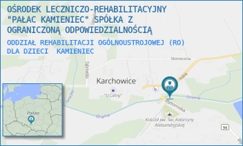 ODDZIAŁ REHABILITACJI OGÓLNOUSTROJOWEJ (RO) DLA DZIECI - OŚRODEK LECZNICZO-REHABILITACYJNY "PAŁAC KAMIENIEC" SPÓŁKA Z OGRANICZONĄ ODPOWIEDZIALNOŚCIĄ - UL. POLNA 2,  KAMIENIEC