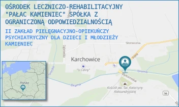 II ZAKŁAD PIELĘGNACYJNO-OPIEKUŃCZY PSYCHIATRYCZNY DLA DZIECI I MŁODZIEŻY - OŚRODEK LECZNICZO-REHABILITACYJNY "PAŁAC KAMIENIEC" SPÓŁKA Z OGRANICZONĄ ODPOWIEDZIALNOŚCIĄ - UL. POLNA 2,  KAMIENIEC