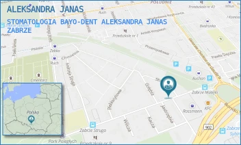 STOMATOLOGIA BAYO-DENT ALEKSANDRA JANAS - ALEKSANDRA JANAS - UL. JANA MATEJKI 43,  ZABRZE
