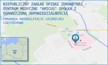 PORADNIA REHABILITACJI LECZNICZEJ - NIEPUBLICZNY ZAKŁAD OPIEKI ZDROWOTNEJ - CENTRUM MEDYCZNE "AMICUS" SPÓŁKA Z OGRANICZONĄ ODPOWIEDZIALNOŚCIĄ - ALEJA POKOJU 44,  CZĘSTOCHOWA