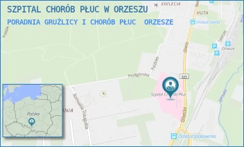 PORADNIA GRUŹLICY I CHORÓB PŁUC - SZPITAL CHORÓB PŁUC W ORZESZU - UL. GLIWICKA 20,  ORZESZE