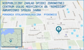 PORADNIA OTOLARYNGOLOGICZNA - NIEPUBLICZNY ZAKŁAD OPIEKI ZDROWOTNEJ CENTRUM USŁUG MEDYCZNYCH "REMEDIUM" SPÓŁKA Z OGRANICZONĄ ODPOWIEDZIALNOŚCIĄ - UL. PADEREWSKIEGO 11,  PYSKOWICE