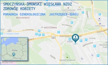 PORADNIA GINEKOLOGICZNA - SMOCZYŃSKA-DMOWSKI WIESŁAWA NZOZ ZDROWIE KOBIETY - UL. WIELKOPOLSKA 2A,  JASTRZĘBIE-ZDRÓJ
