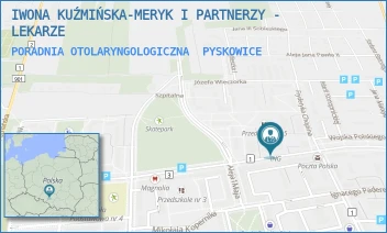 PORADNIA OTOLARYNGOLOGICZNA - IWONA KUŹMIŃSKA-MERYK I PARTNERZY - LEKARZE - UL. WOJ.POLSKIEGO 10,  PYSKOWICE