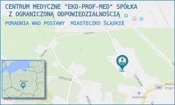 PORADNIA WAD POSTAWY - CENTRUM MEDYCZNE "EKO-PROF-MED" SPÓŁKA  Z OGRANICZONĄ ODPOWIEDZIALNOŚCIĄ - UL. CYNKOWA 6,  MIASTECZKO ŚLĄSKIE