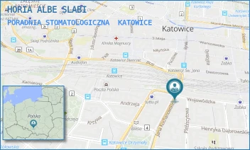 PORADNIA STOMATOLOGICZNA - HORIA ALBE SLABI - UL. WOJEWÓDZKA 48/2,  KATOWICE