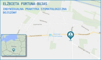 INDYWIDUALNA PRAKTYKA STOMATOLOGICZNA - ELŻBIETA FORTUNA-BUJAS - UL. ŚW. JANA 33A,  BOJSZOWY