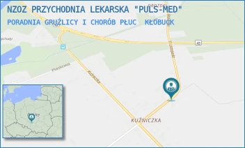 PORADNIA GRUŹLICY I CHORÓB PŁUC - NZOZ PRZYCHODNIA LEKARSKA "PULS-MED" - UL. 11 LISTOPADA 5A,  KŁOBUCK