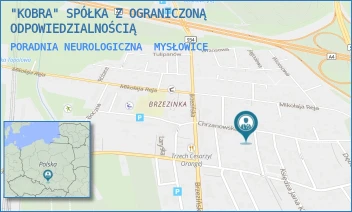 PORADNIA NEUROLOGICZNA - "KOBRA" SPÓŁKA Z OGRANICZONĄ ODPOWIEDZIALNOŚCIĄ - UL. CHRZANOWSKA 10,  MYSŁOWICE