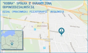 DZIAŁ (PRACOWNIA) FIZJOTERAPII - "KOBRA" SPÓŁKA Z OGRANICZONĄ ODPOWIEDZIALNOŚCIĄ - UL. CHRZANOWSKA 10,  MYSŁOWICE