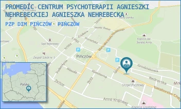 PZP DIM PIŃCZÓW - PROMEDIC CENTRUM PSYCHOTERAPII AGNIESZKI NEHREBECKIEJ AGNIESZKA NEHREBECKA - BEDNARSKA 3,  PIŃCZÓW