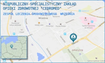 ZESPÓŁ LECZENIA ŚRODOWISKOWEGO - NIEPUBLICZNY SPECJALISTYCZNY ZAKŁAD OPIEKI ZDROWOTNEJ "CEDROMED" - OPIESZYN 10,  WRZEŚNIA
