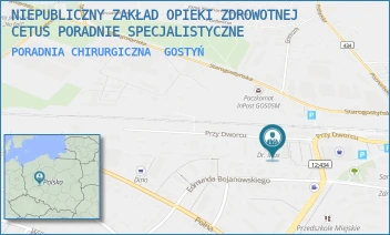 PORADNIA CHIRURGICZNA - NIEPUBLICZNY ZAKŁAD OPIEKI ZDROWOTNEJ CETUS PORADNIE SPECJALISTYCZNE - PRZY DWORCU 4A,  GOSTYŃ