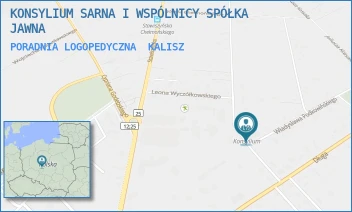 PORADNIA LOGOPEDYCZNA - KONSYLIUM SARNA I WSPÓLNICY SPÓŁKA JAWNA - WŁADYSŁAWA PODKOWIŃSKIEGO 2,  KALISZ