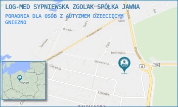 PORADNIA DLA OSÓB Z AUTYZMEM DZIECIĘCYM - LOG-MED SPÓŁKA Z OGRANICZONĄ ODPOWIEDZIALNO - GRANICZNA 1B,  GNIEZNO