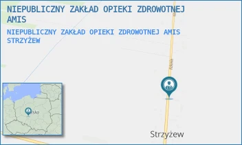 NIEPUBLICZNY ZAKŁAD OPIEKI ZDROWOTNEJ AMIS - NIEPUBLICZNY ZAKŁAD OPIEKI ZDROWOTNEJ AMIS - KOLONIA 53A,  STRZYŻEW