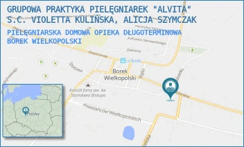 PIELĘGNIARSKA DOMOWA OPIEKA DŁUGOTERMINOWA - GRUPOWA PRAKTYKA PIELĘGNIAREK "ALVITA" S.C. VIOLETTA KULIŃSKA, ALICJA SZYMCZAK - ZDZIESKA 59,  BOREK WIELKOPOLSKI