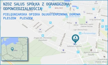 PIELĘGNIARSKA OPIEKA DŁUGOTERMINOWA DOMOWA PLESZEW - NZOZ SALUS SP. Z O.O. - JANA III SOBIESKIEGO 34,  PLESZEW