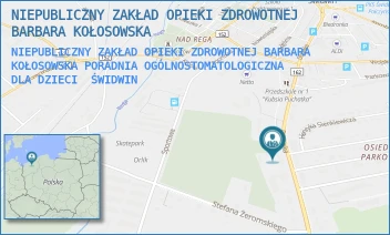 NIEPUBLICZNY ZAKŁAD OPIEKI ZDROWOTNEJ BARBARA KOŁOSOWSKA PORADNIA OGÓLNOSTOMATOLOGICZNA DLA DZIECI - NIEPUBLICZNY ZAKŁAD OPIEKI ZDROWOTNEJ BARBARA KOŁOSOWSKA - DRAWSKA 32A,  ŚWIDWIN