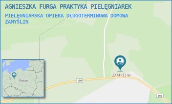 PIELĘGNIARSKA OPIEKA DŁUGOTERMINOWA DOMOWA - AGNIESZKA FURGA PRAKTYKA PIELĘGNIAREK - 2A,  ZAMYŚLIN